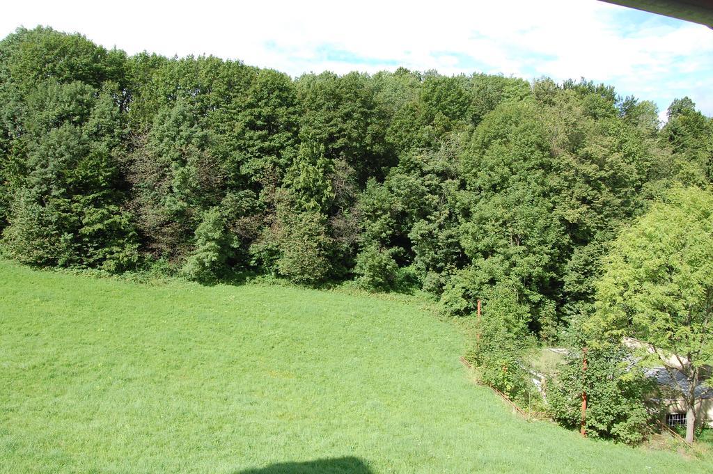 Penzion U Mustku Jiriho Rasky Trojanovice Kamer foto